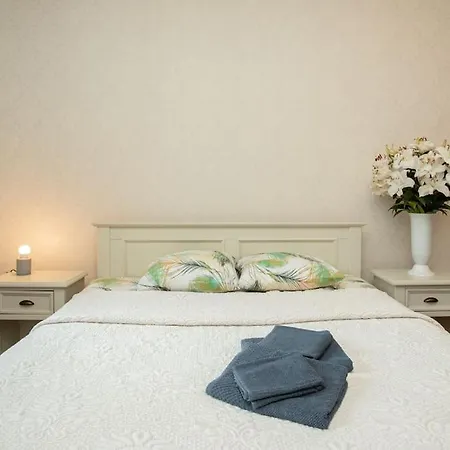 Silent, Classic Style Flat By Gertrudes Church Apartment Riga